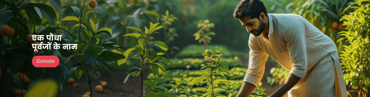Green Sampla Initiative